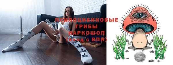 мдпв Нязепетровск